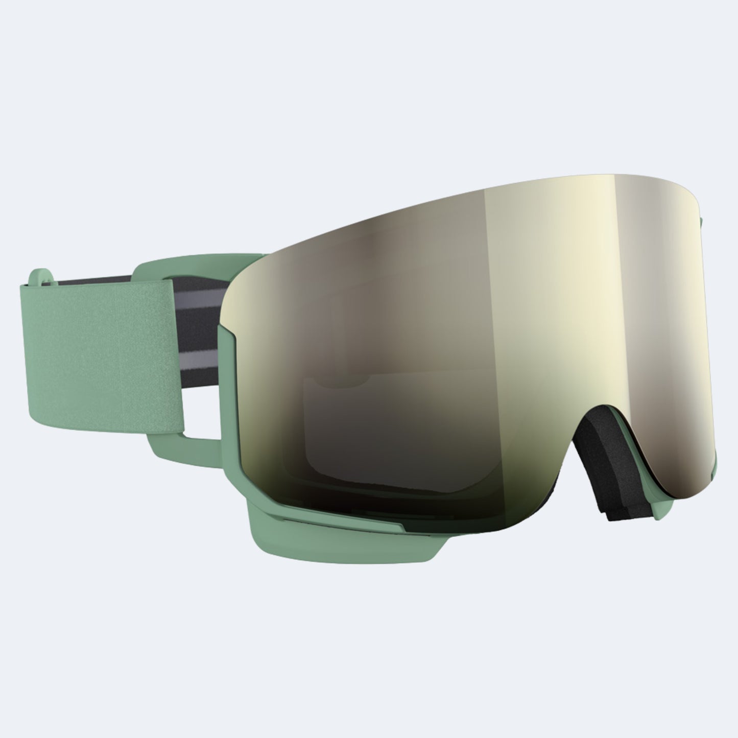 POC Nexal Goggle