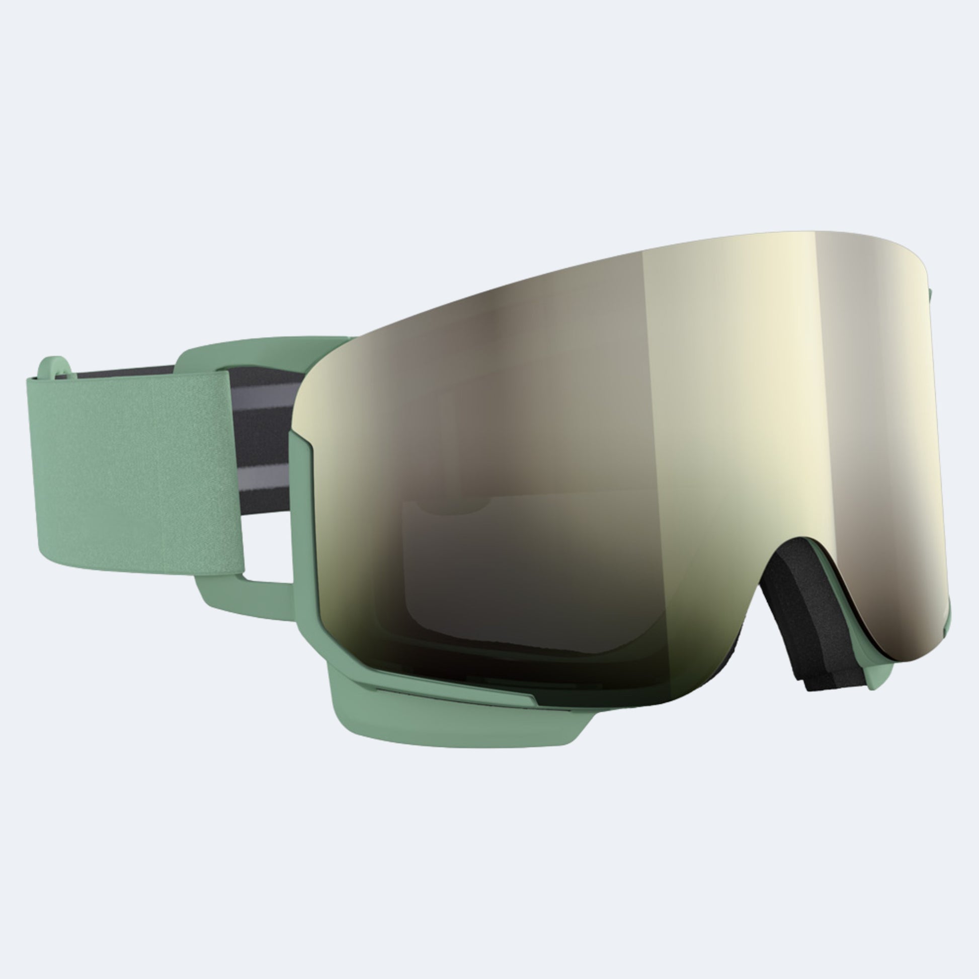 POC Nexal Goggle