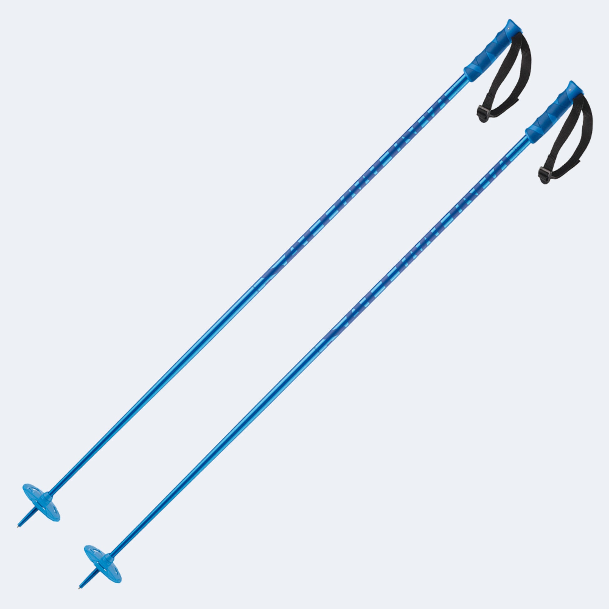 Salomon Hacker Poles