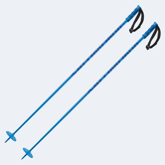 Salomon Hacker Poles