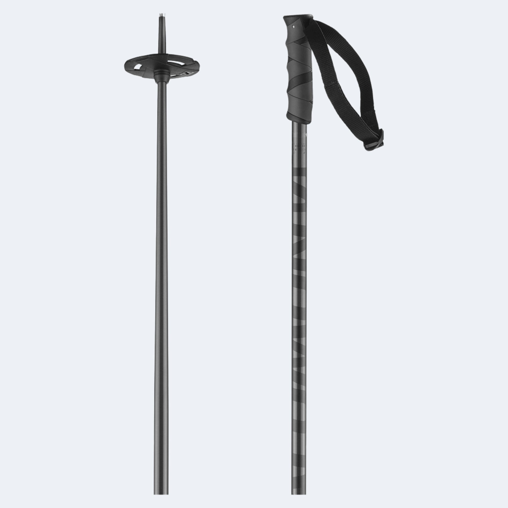 Salomon Hacker Poles
