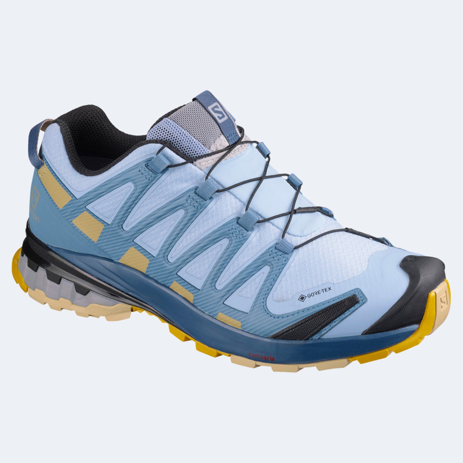 Salomon XA Pro 3D v8 GTX Women's Shoe