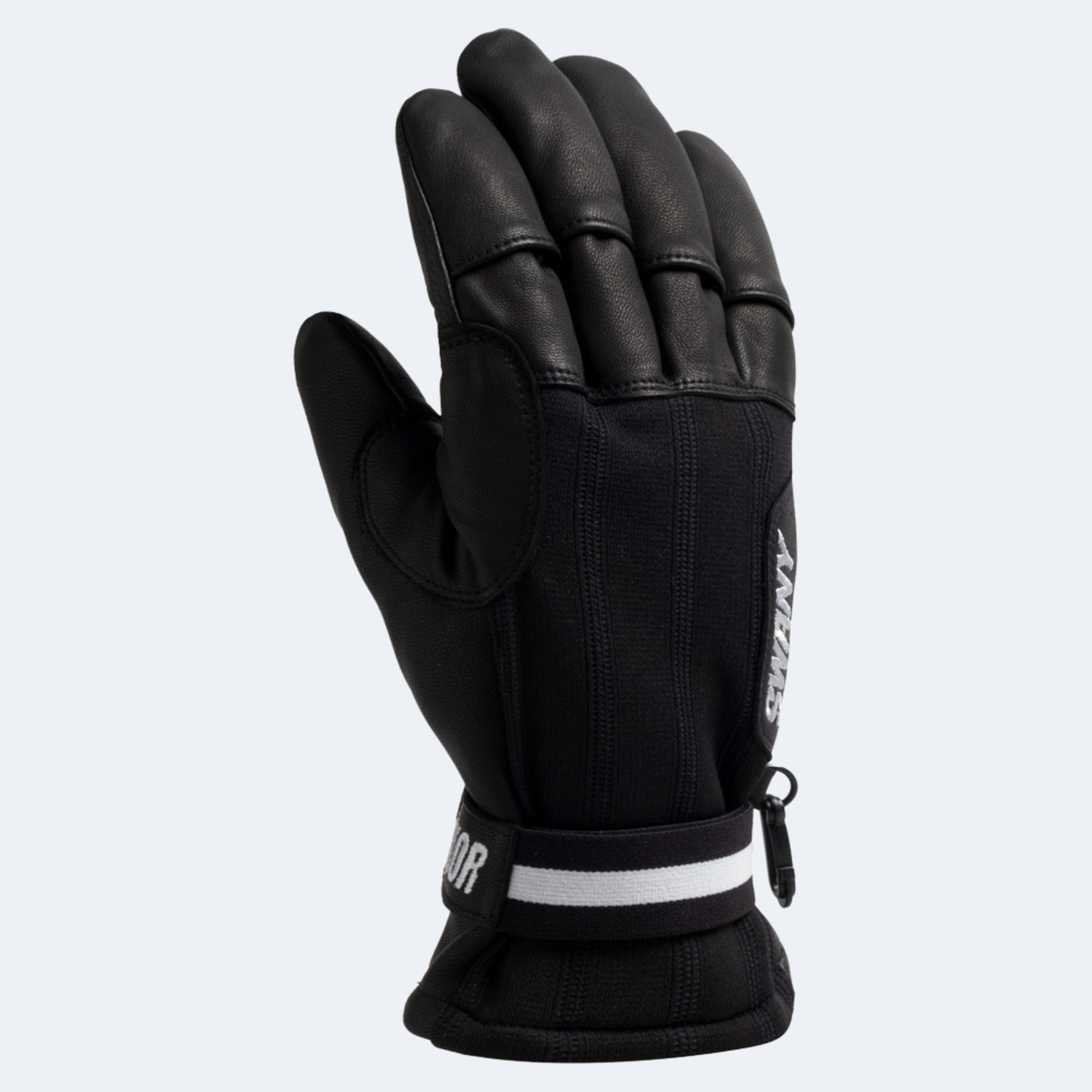 Swany Pro-V Men's Glove