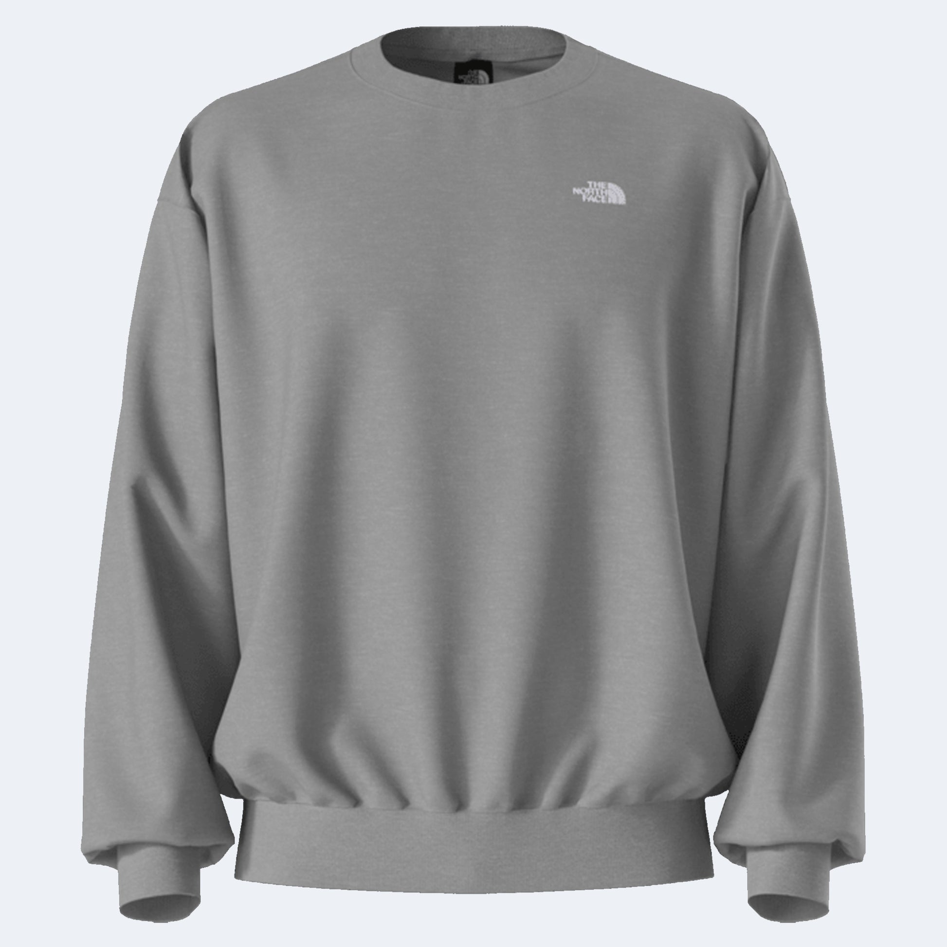 The North Face Evolution Simple Dome Oversized Men's Crew