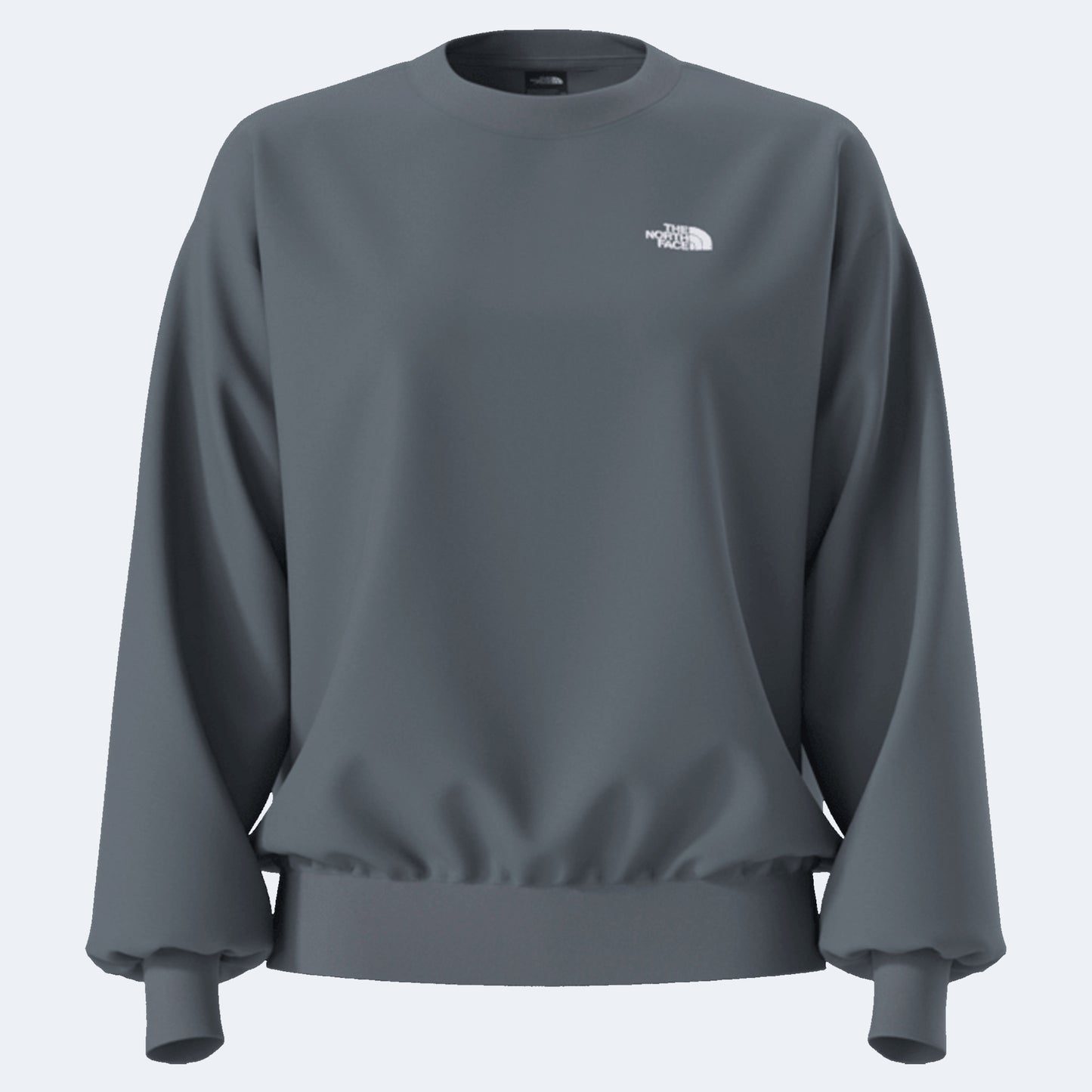 The North Face Evolution Simple Dome Oversized Women's Crew