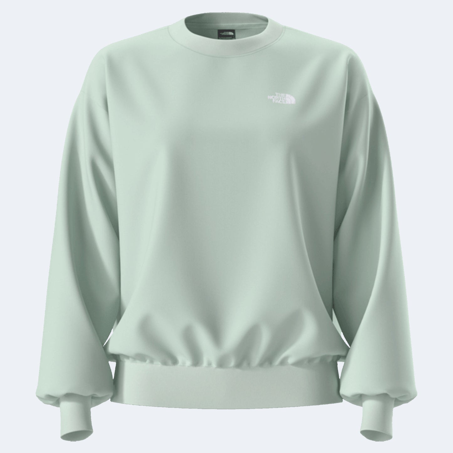 The North Face Evolution Simple Dome Oversized Women's Crew