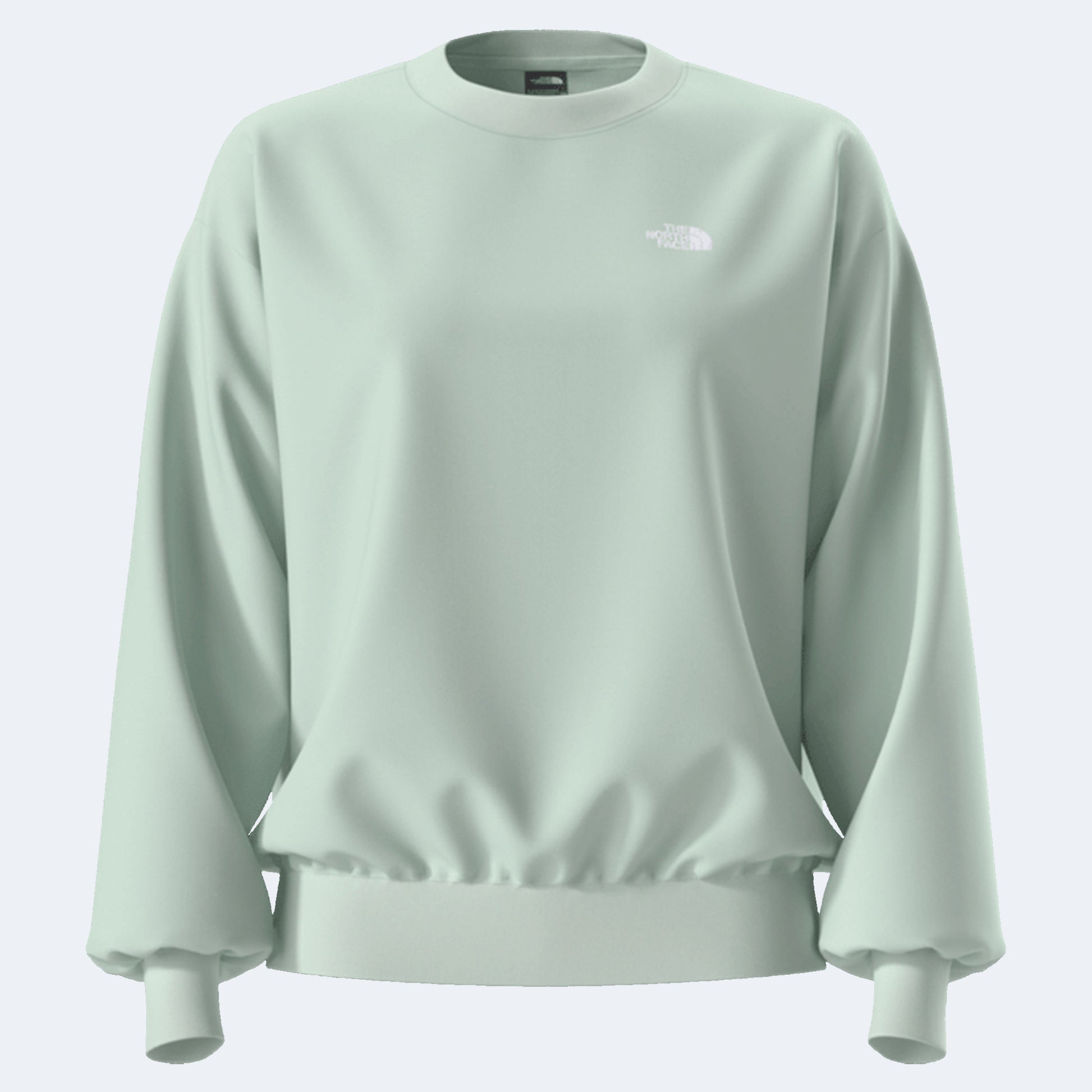 The North Face Evolution Simple Dome Oversized Women's Crew