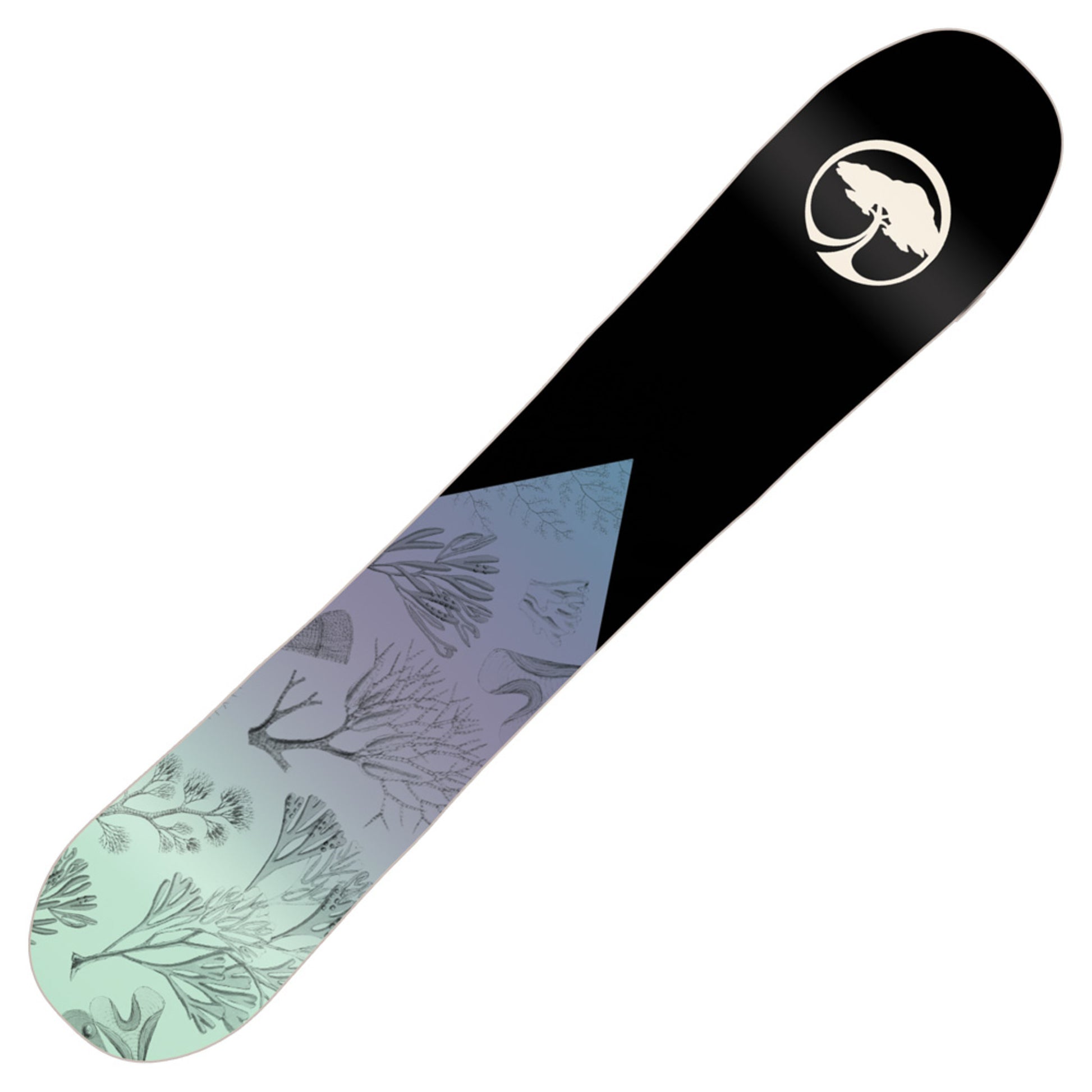 2023 Arbor Veda Camber Women's Snowboard - 154